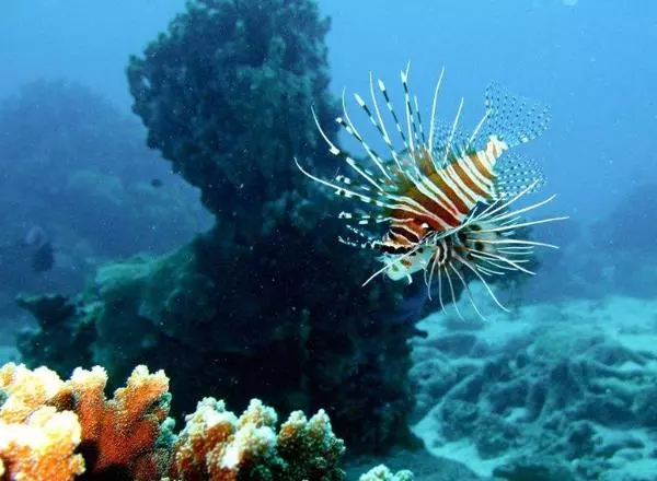 機智人科技 機智人科技